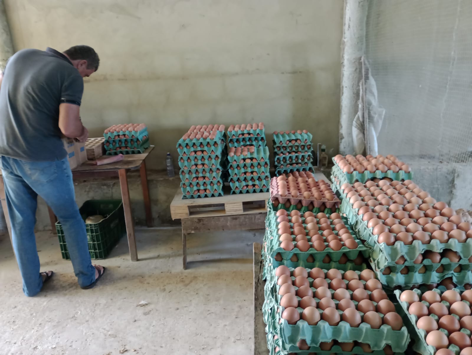 Roda de conversa entre extensionistas e produtores rurais